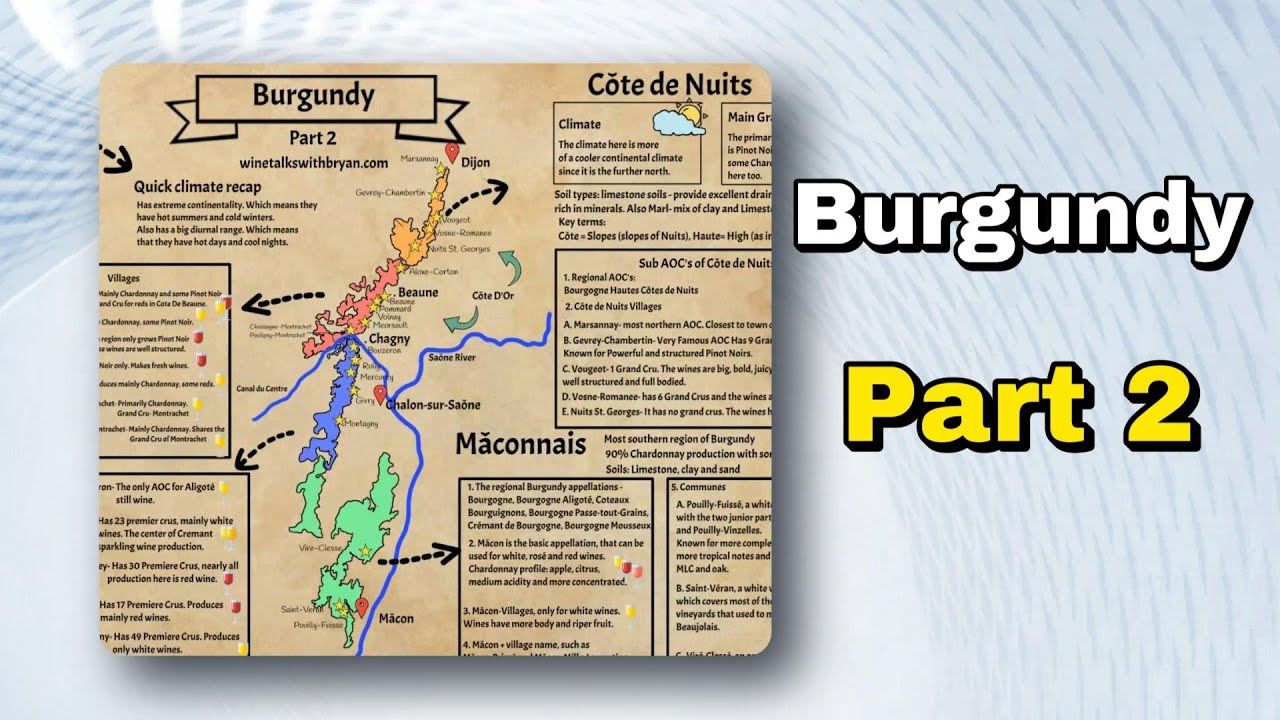 Burgundy Wine Region: The Ultimate Guide (Part 2) | C&ocirc;te d&rsquo;Or, C&ocirc;te Chalonnaise & More!