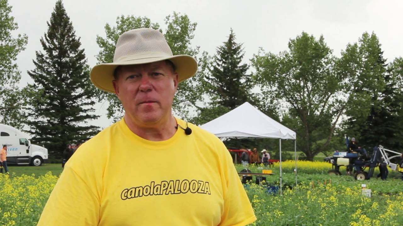 Canola School: Moving to Multiple N Applications for Canola