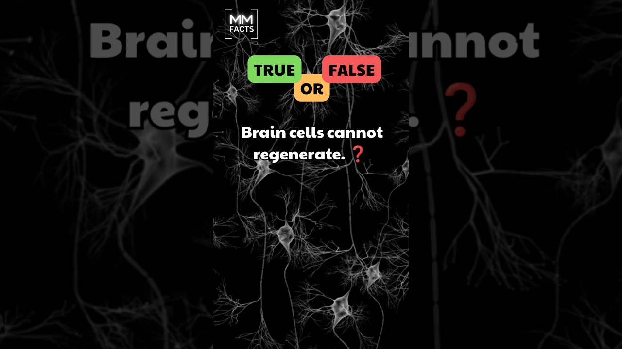 Is it possible to regenerate brain cells or do they just die? 🧠🤔#regenerative #braincells