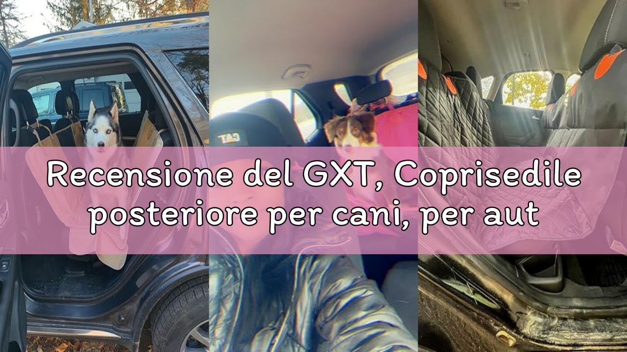 Recensione del GXT, Coprisedile posteriore per cani, per auto, SUV e camion, con finestra in rete, a