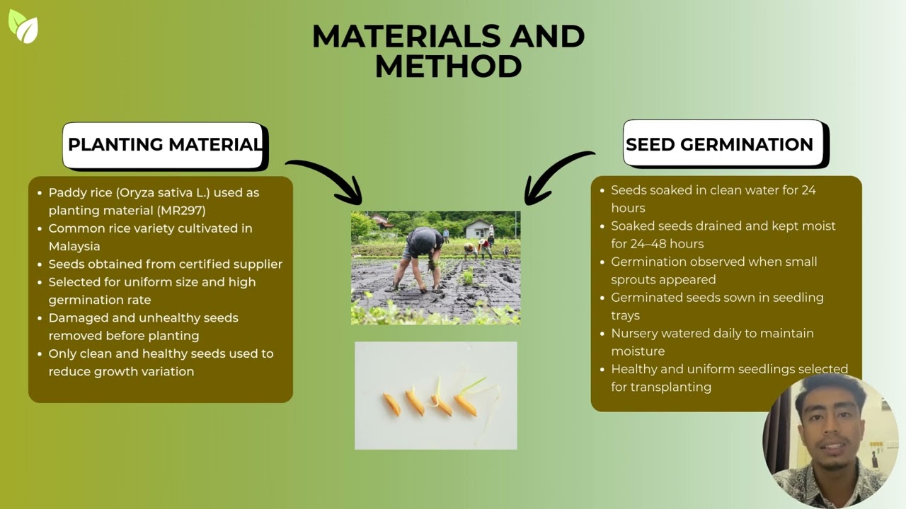 EVALUATING THE IMPACT OF POTASSIUM BIOFERTILIZER VS DIAMMONIUM PHOSPHATE FERTILIZER ON PADDY GROWTH