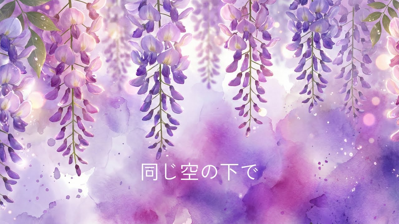 同じ空の下で