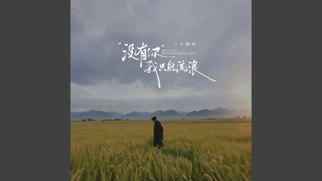 没有你我只能流浪 (流浪节奏版)