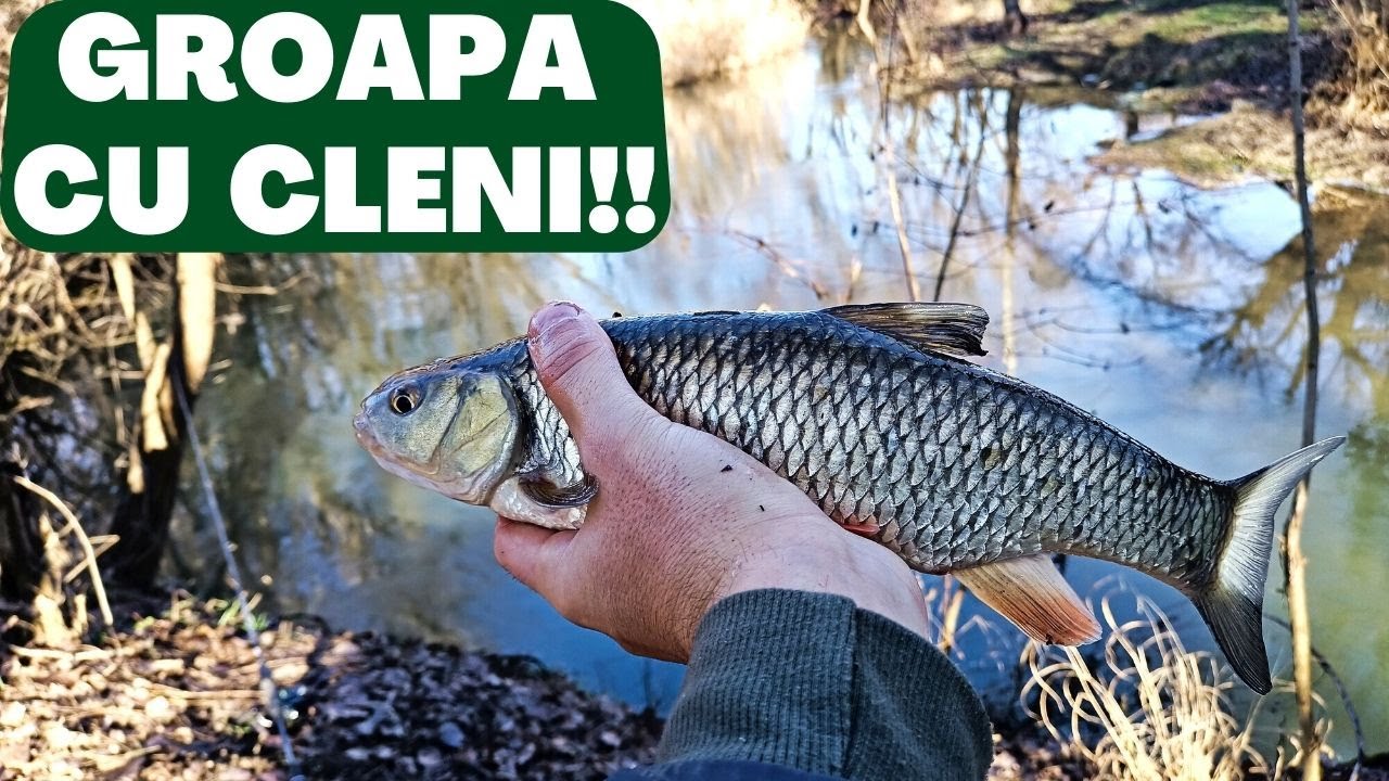 CLENI SUPERBI la PLUTA si SPINNING dintr-o GROAPA (2022)