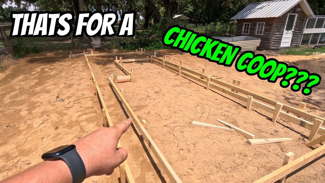 How i Formed this Entire Foundation for a new CHICKEN COOP!