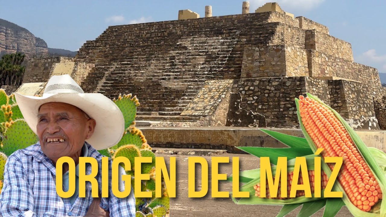 Nación Ngigua: El Pueblo que le Regaló al Mundo el Maíz 🌽 - México.