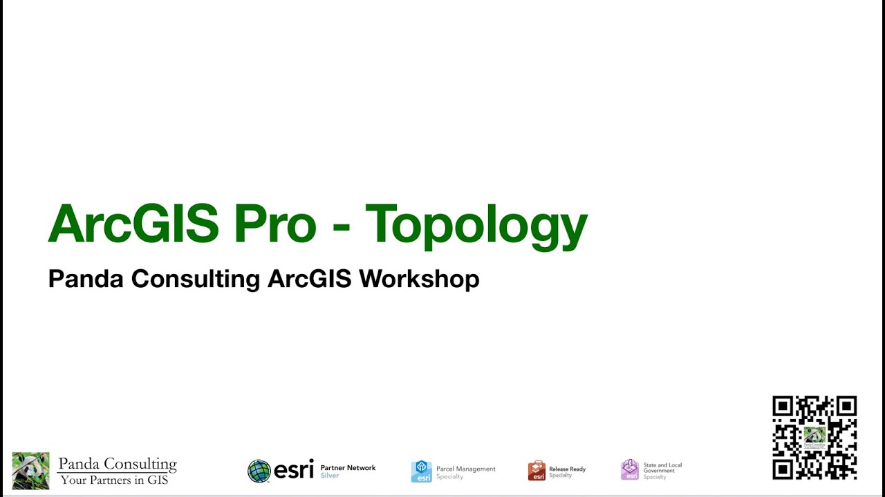 ArcGIS Pro Topology