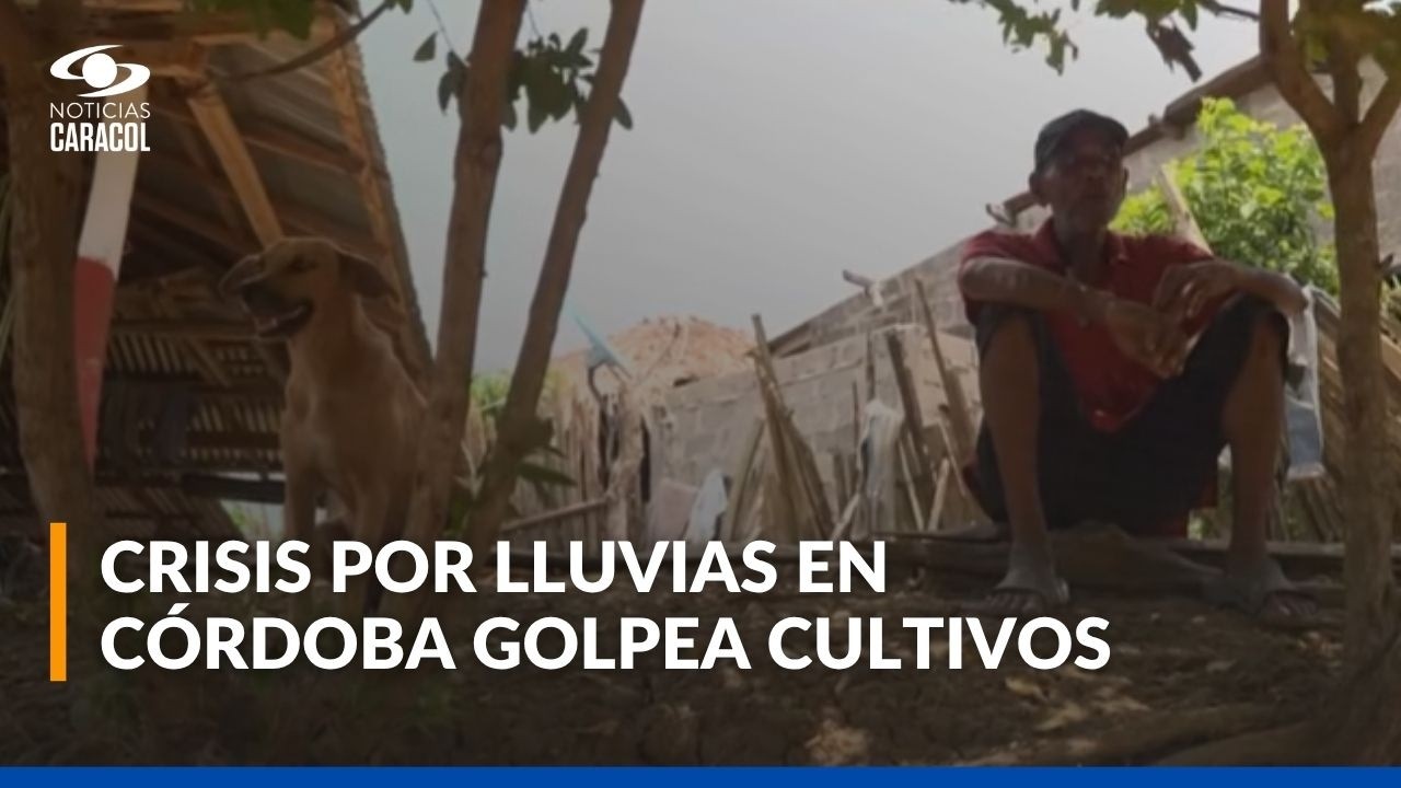 Lluvias en Córdoba afectan cultivos y alertan por impacto en alimentos y producción nacional