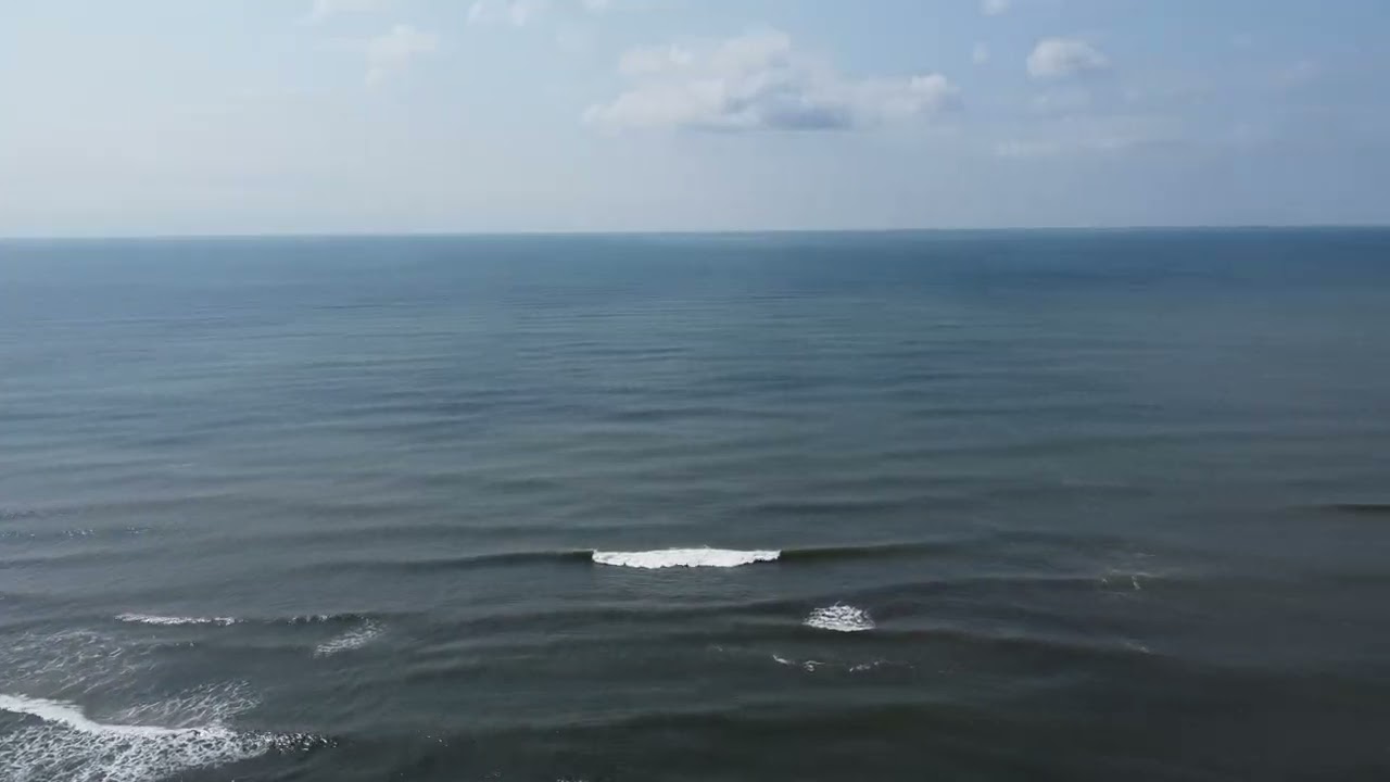 Point O Woods 1