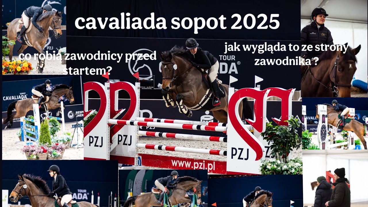 Moja pierwsza cavaliada😻🤩 Dream came true