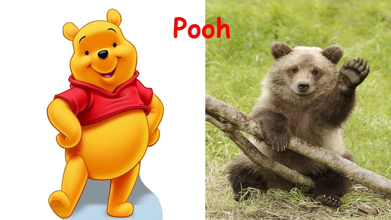 Winnie The Pooh in Real Life