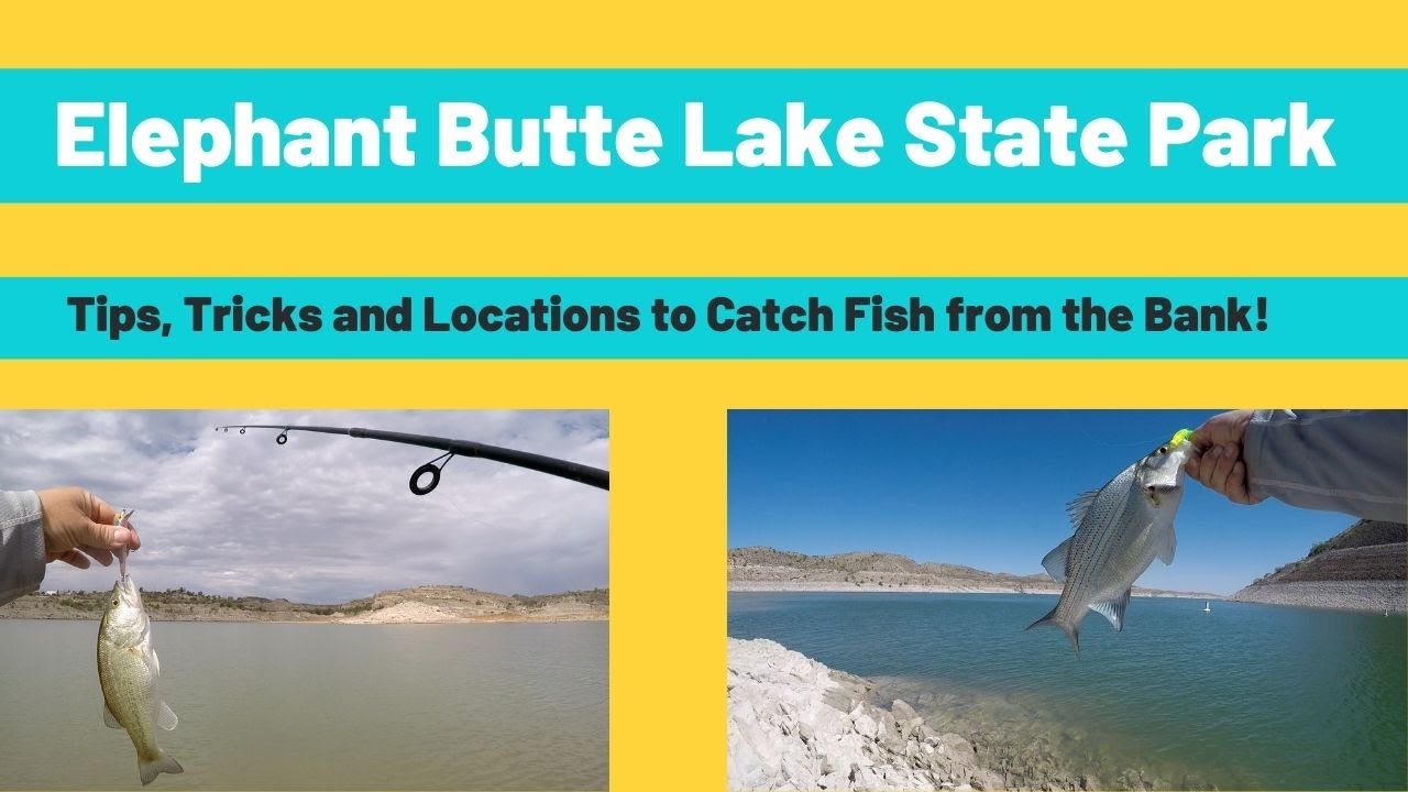 Elephant Butte Lake State Park Fishing - Bank Fishing