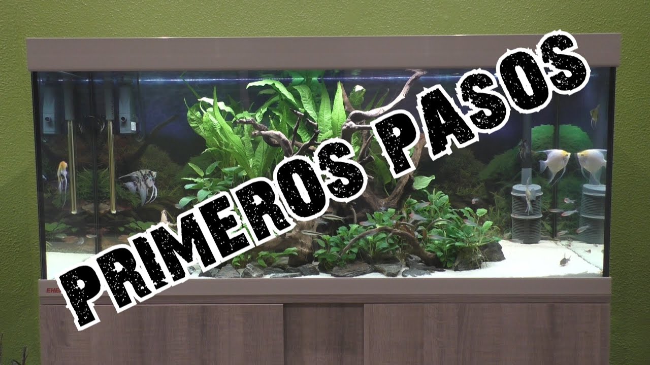 Acuarios del Manza 01 Primeros Pasos 240L