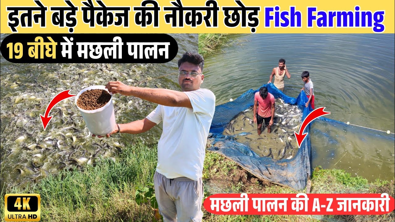 इस युवा Engineer ने बड़े Package की नौकरी छोड़ Fish Farming कर रहे ✅💯 Fish Farming की A to Z जानकारी