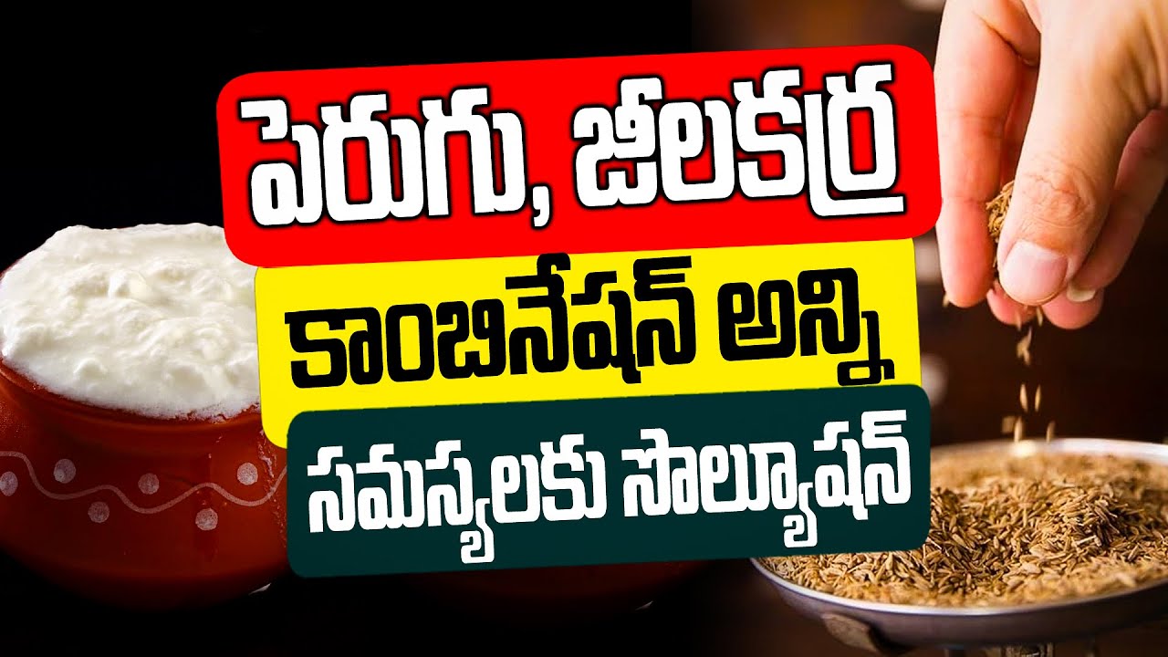 పెరుగు జీలకర్ర కాంబినేషన్ అన్ని సమస్యలకు సొల్యూషన్ | How to use Curd and cumin combination