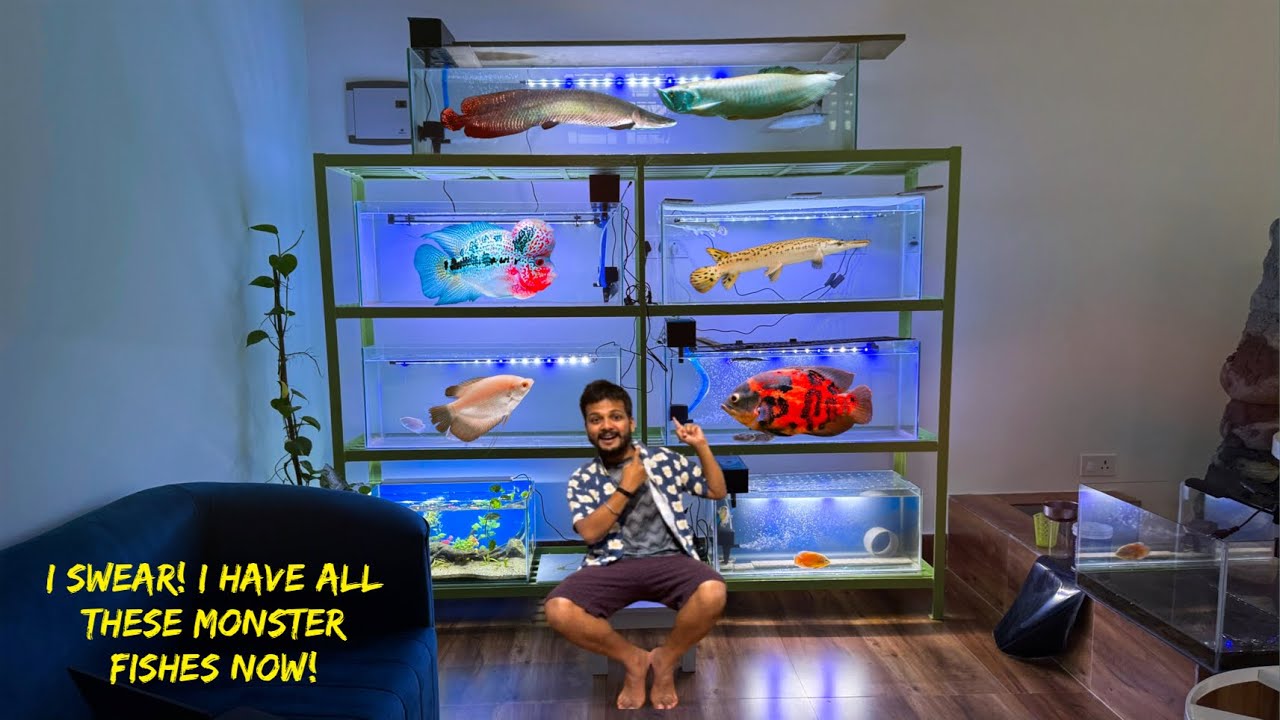 ARAPAIMA in My Dream Nature Fish Gallery🔥: Part 2 ❤️by Exploring Assam and Fishing