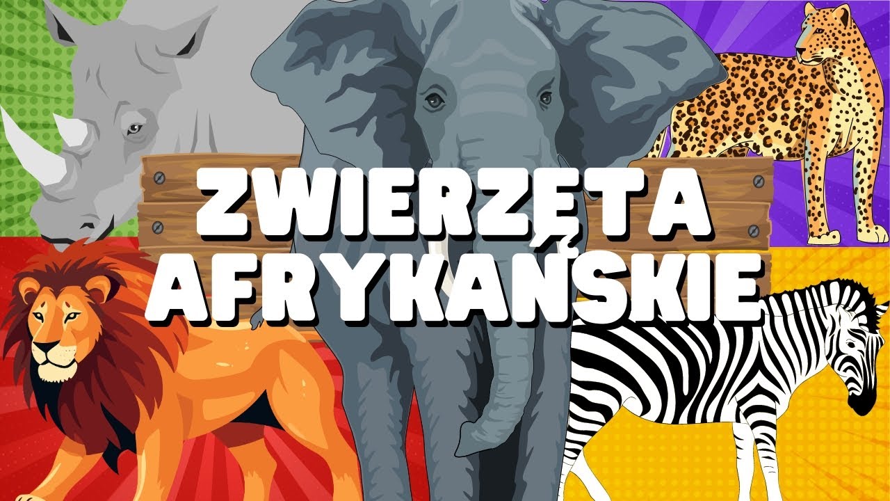 ZWIERZĘTA AFRYKAŃSKIE FILM EDUKACYJNY DLA DZIECI. Odkrywamy Zwierzęta Afrykańskie Po Polsku. 🦁🦓🐘🐊