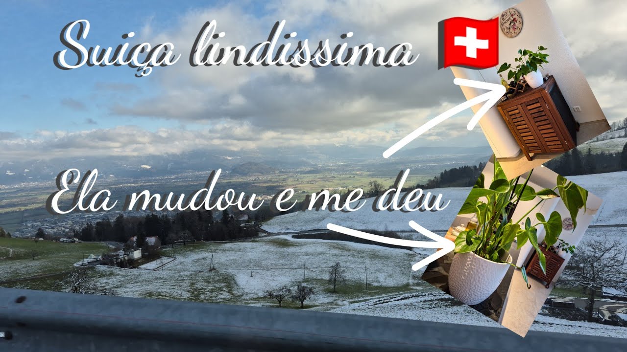 Paisagem suiça no inverno🇨🇭 + Ganhei duas plantas de uma colèga 🪴🪴