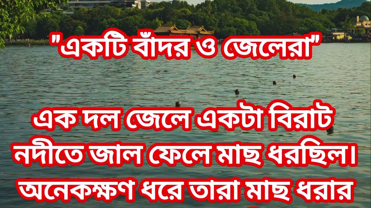 একটি বাঁদর ও জেলেরা/Bangla Moral Story/ যার কাজ তারই সাজে/lovely cartoon tv/