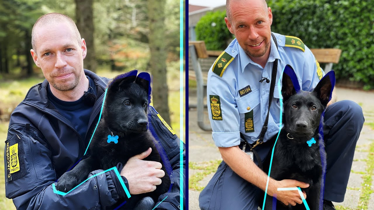 Ivan skal til eksamen | Afsnit 4