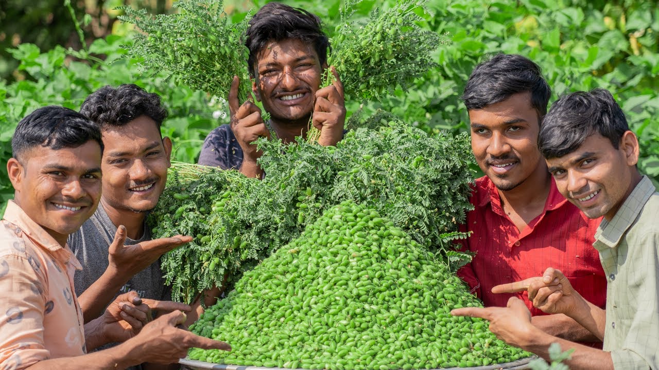 LILA CHANA | Lila Chana Nu Shak | Green Chick Peas Recipe | Village Rasoi