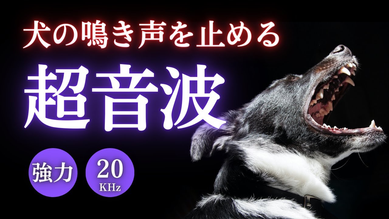 犬の鳴き声を止める超音波。犬の無駄吠え、騒音対策に