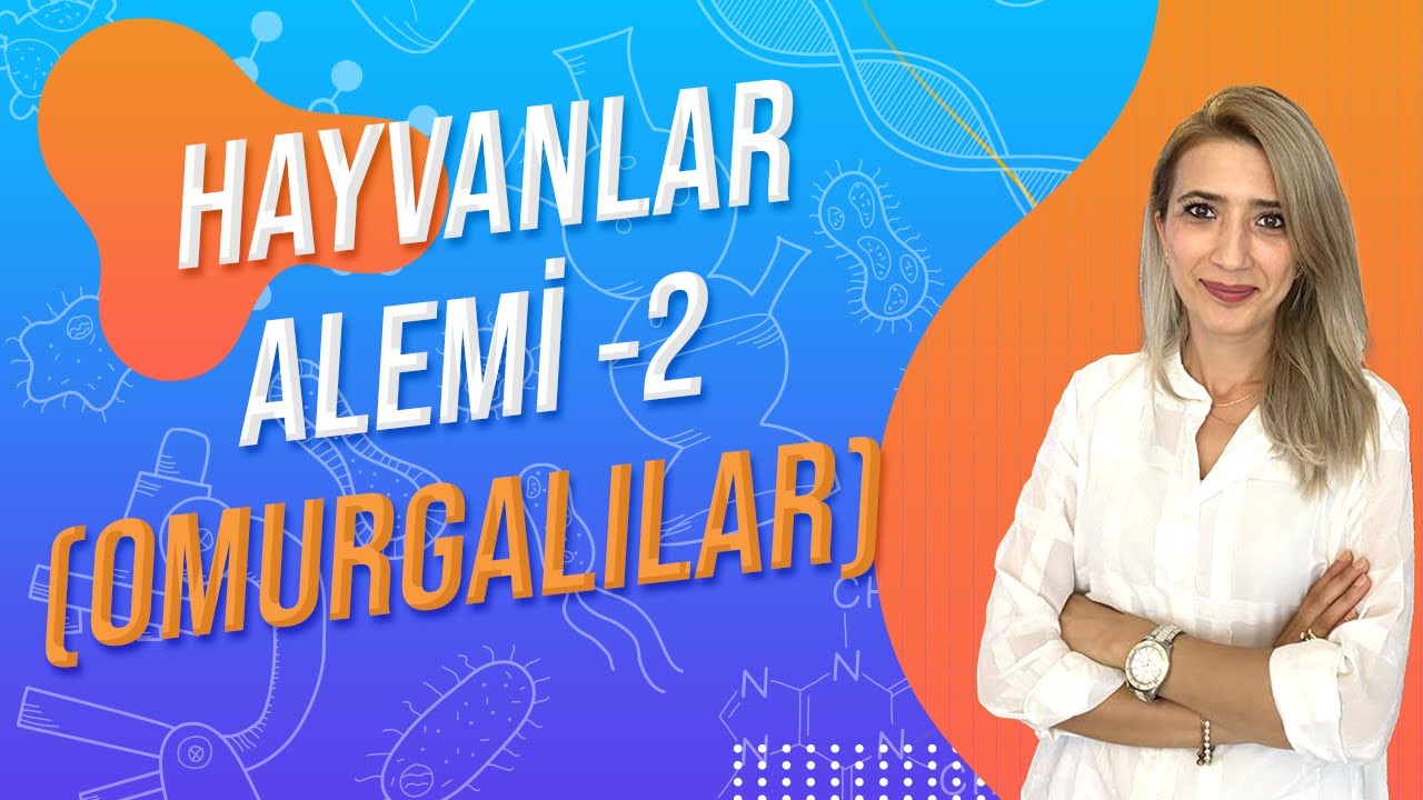 (25.DERS) HAYVANLAR ALEMİ - 2 |  TYT 9.SINIF l Seda Hoca Biyoloji 🤗