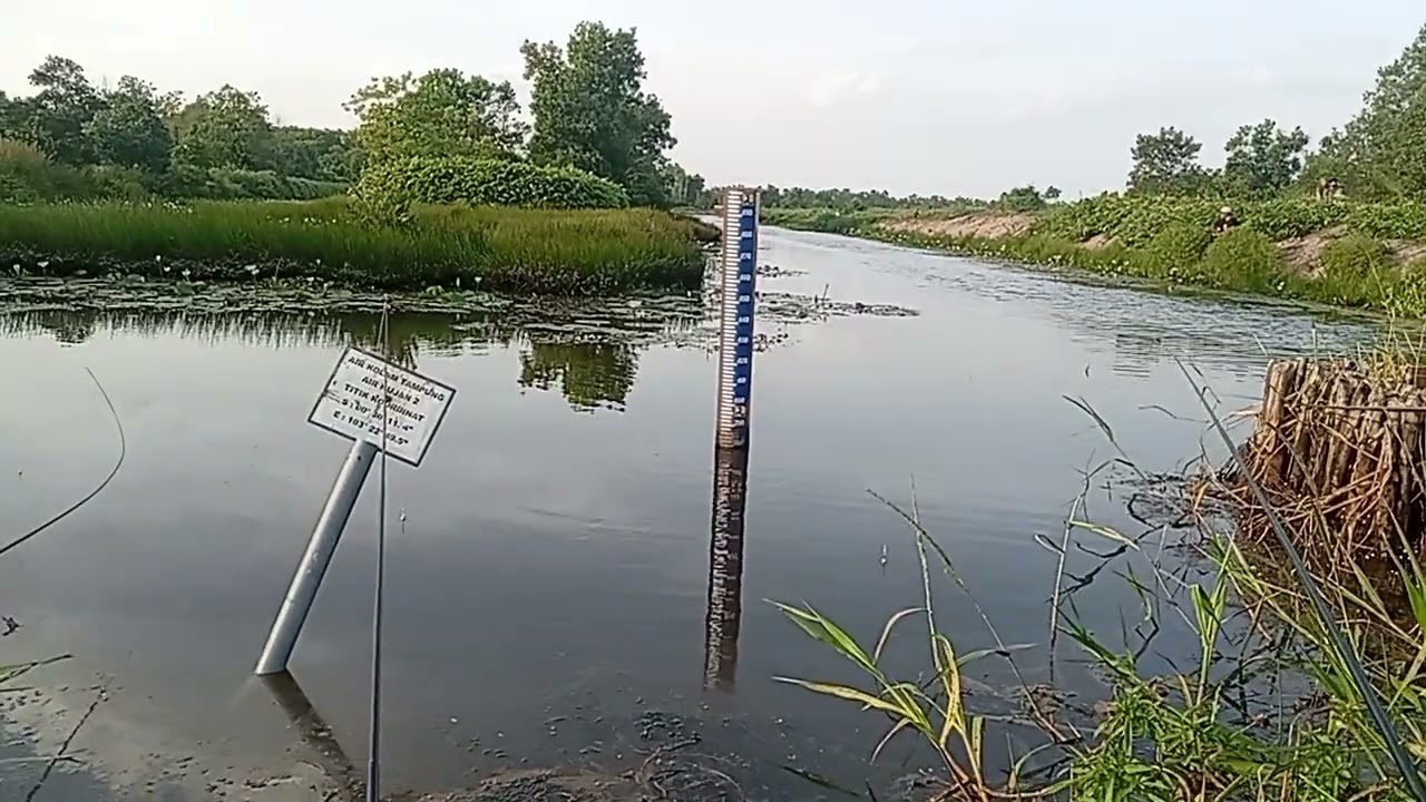 Mancing sore