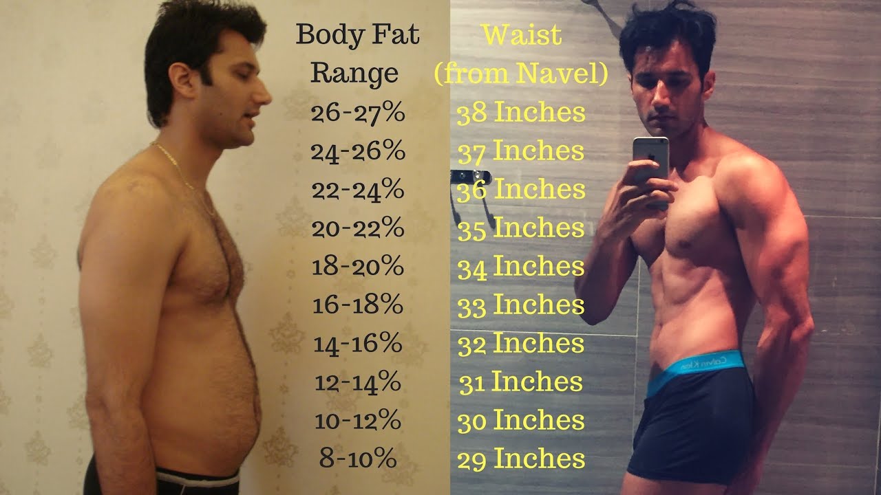 27% to 12% Body Fat – How Long Does It REALLY Take?