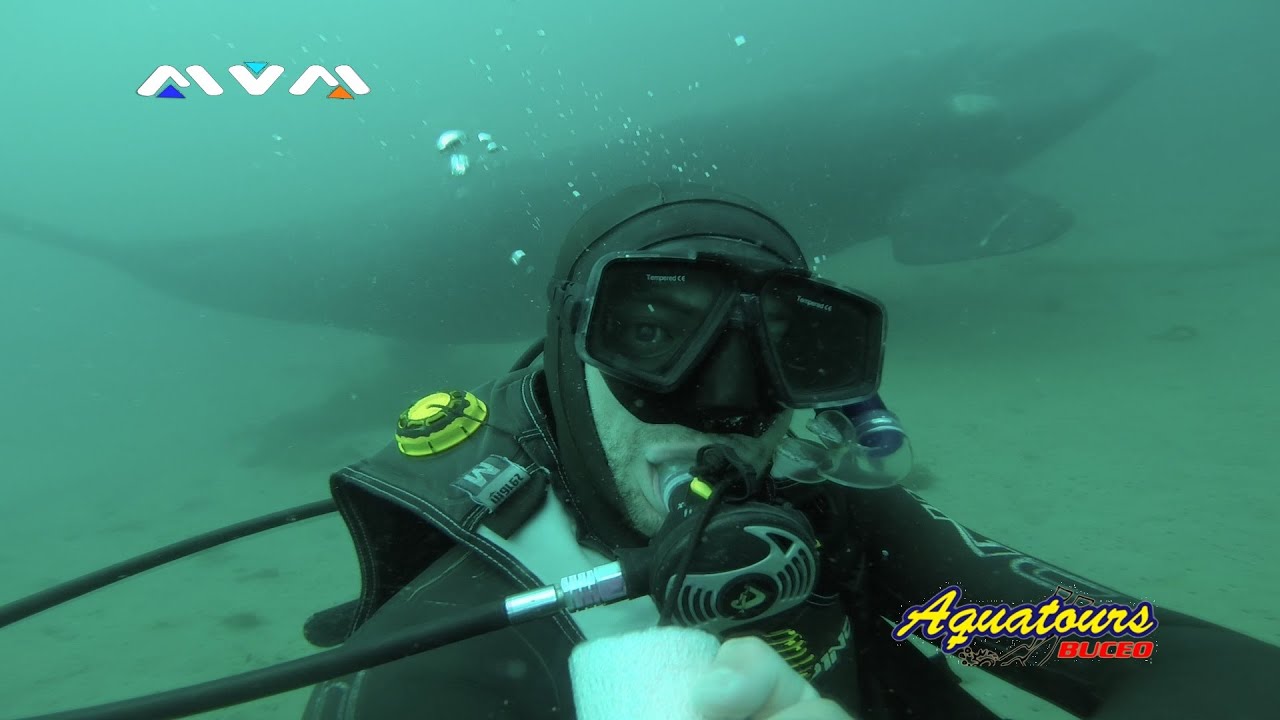 Ballena Interrumpe Curso de Buceo