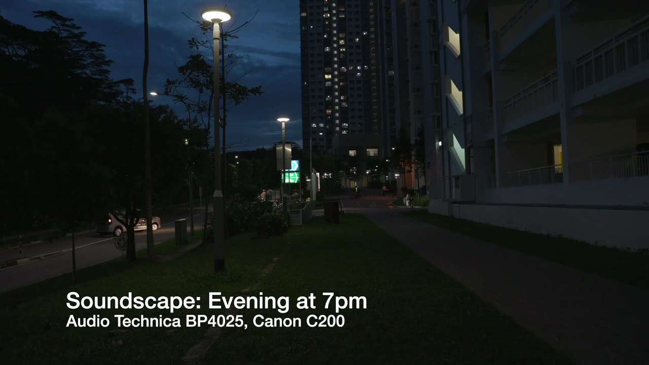 Soundscape: Evening at 7pm Stereo with Audio Technica BP4025 (City Sounds)