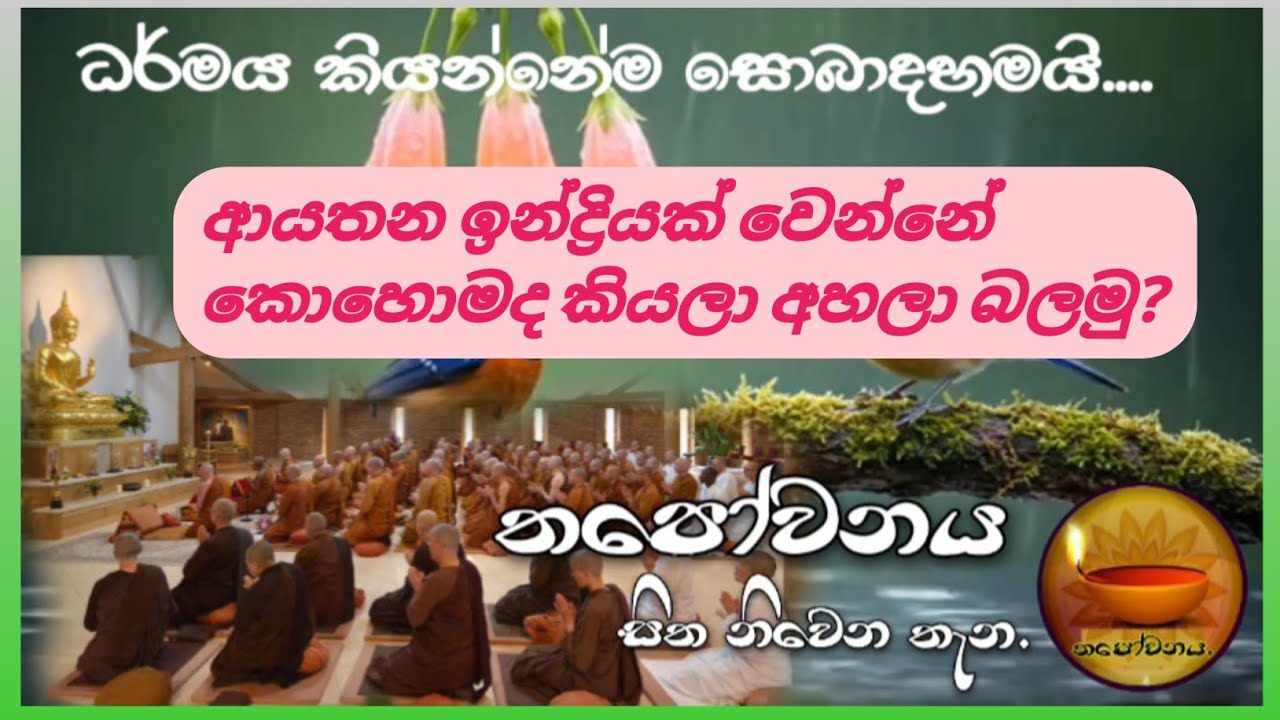 ඉන්ද්‍රිය ධර්ම නොවැටෙන්නේ නම් ඔහු මුලාවෙලා සසරක යන කෙනෙක්#Thapowanaya සිත නිවෙන තැන 💫