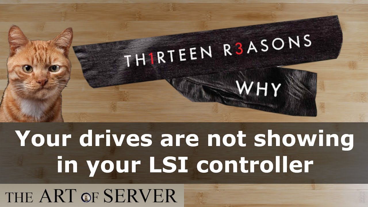 13 Reasons Why | your drives are not showing up in your LSI HBA