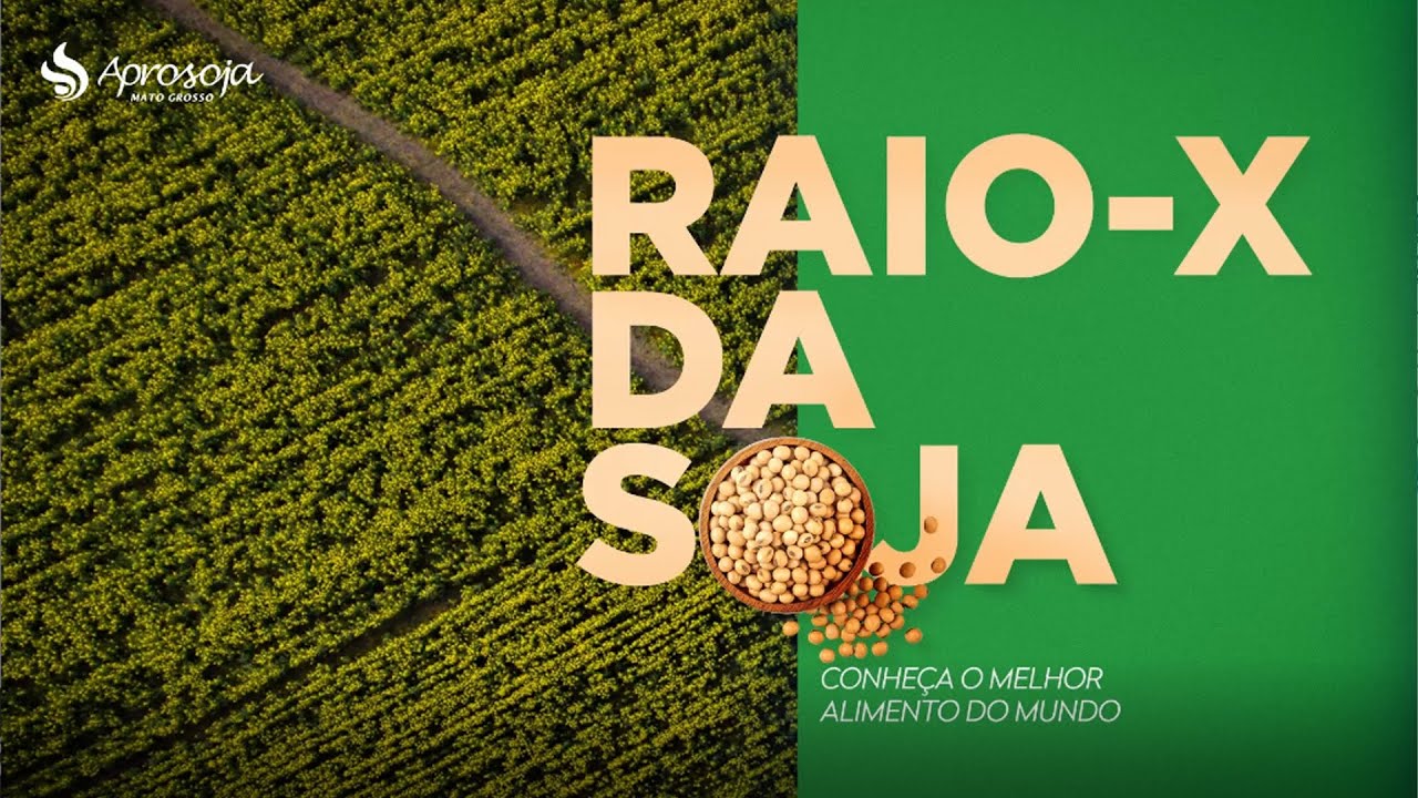 Raio-X da Soja: a rota da soja