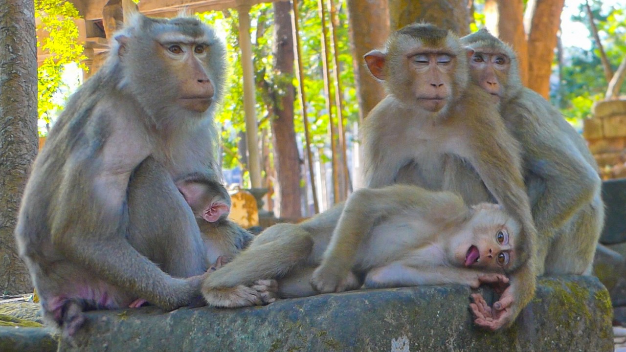 Togetherness in the Libby Family: Heartwarming Relaxation Time