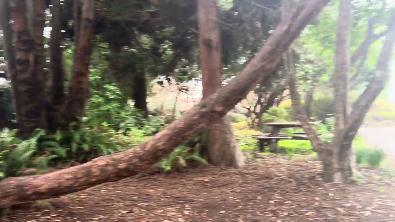 Mendocino California Botanical Garden Feb 2026