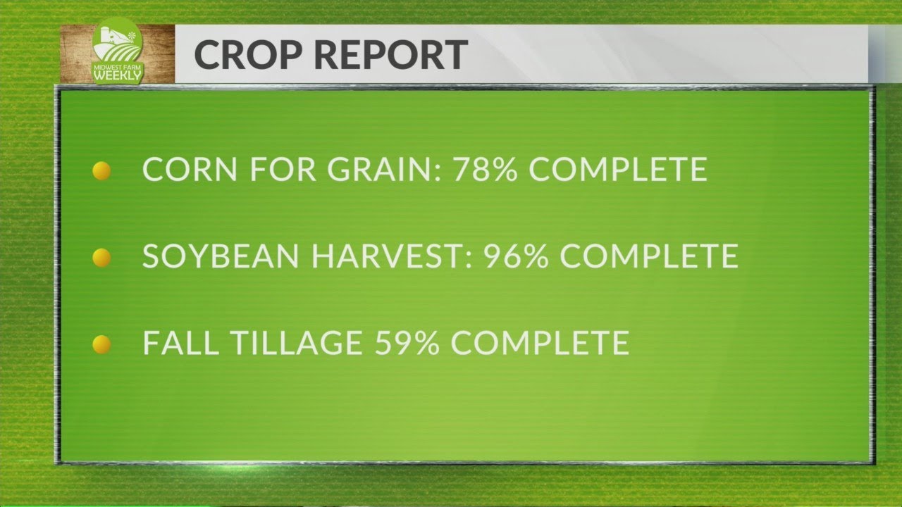 Meat supply chain impacts