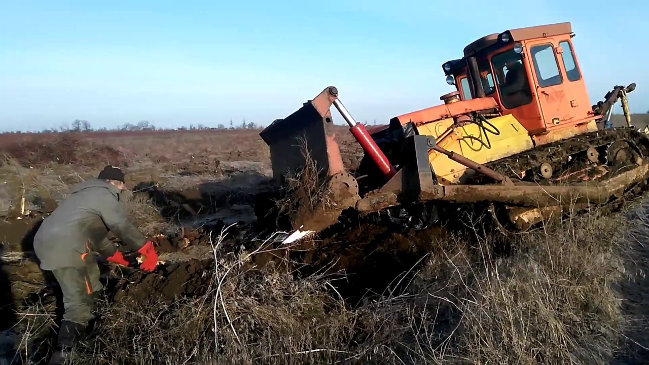 Раскорчевка старых садов