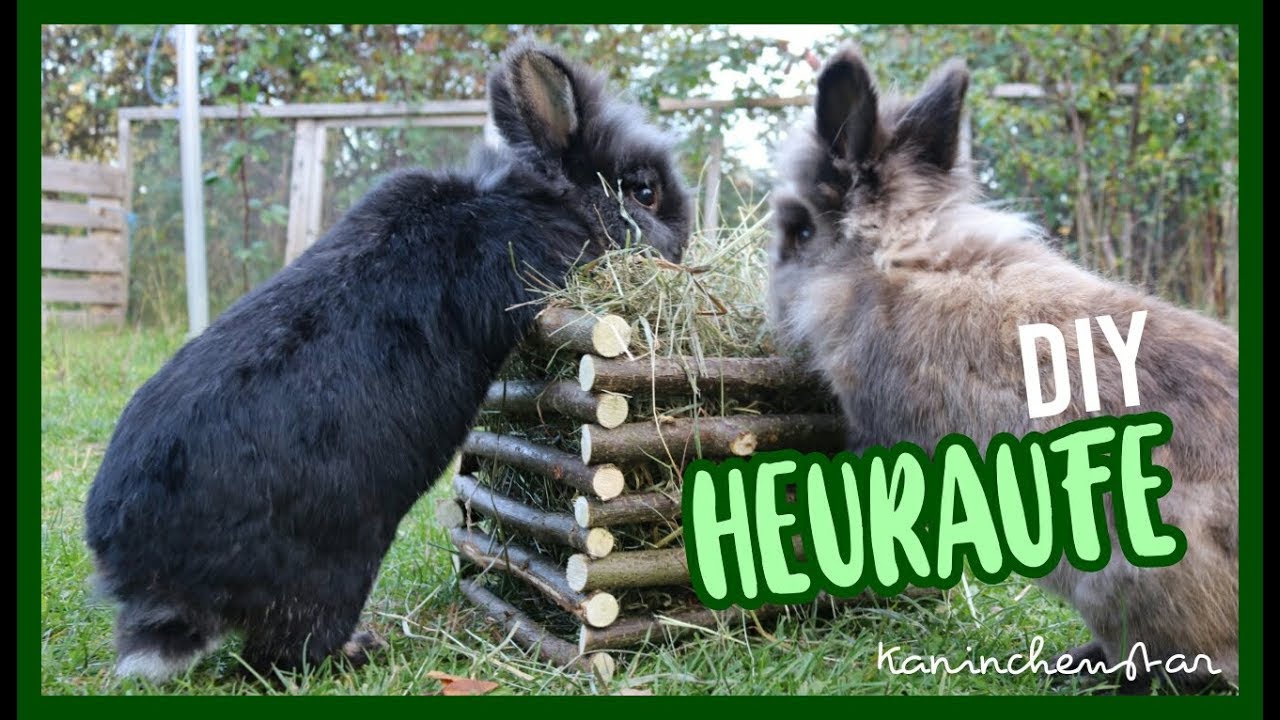 DIY Heuraufe 🌻🐇 | Kaninchenstar