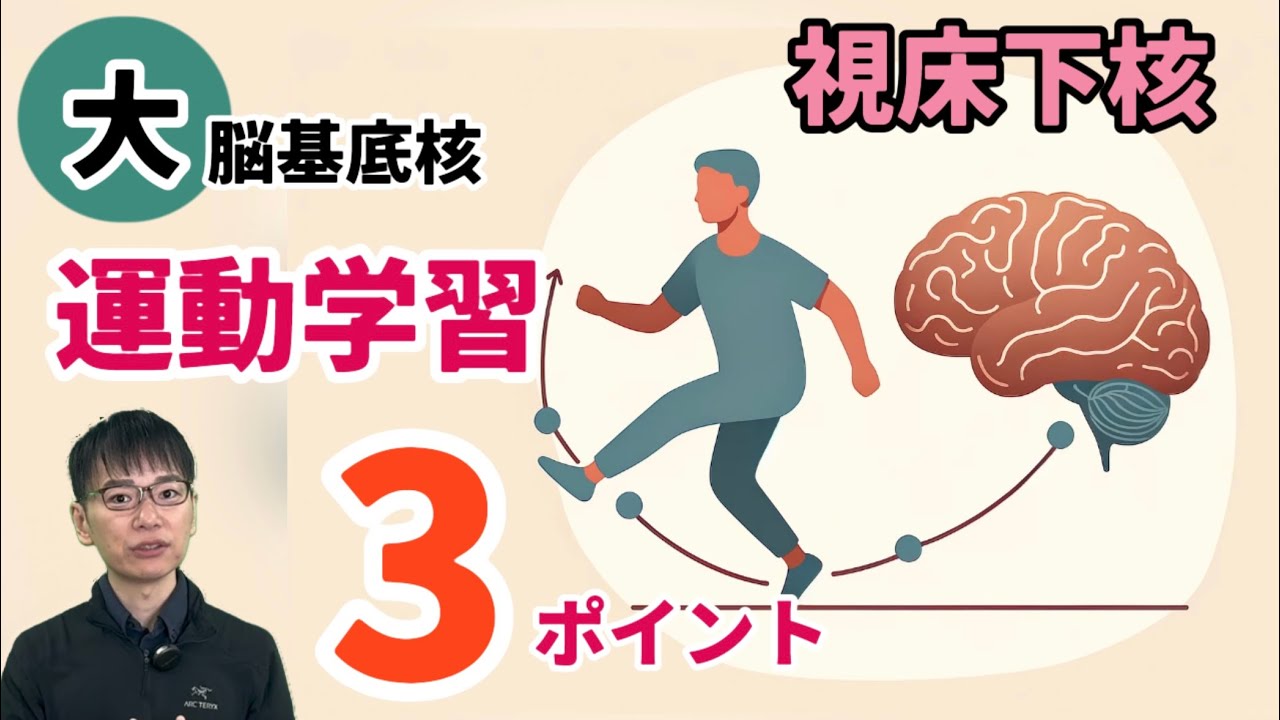 【☑︎視床下核 役割】強化学習vs教師あり学習vs教師なし学習/小脳/大脳基底核/大脳皮質【第22回】
