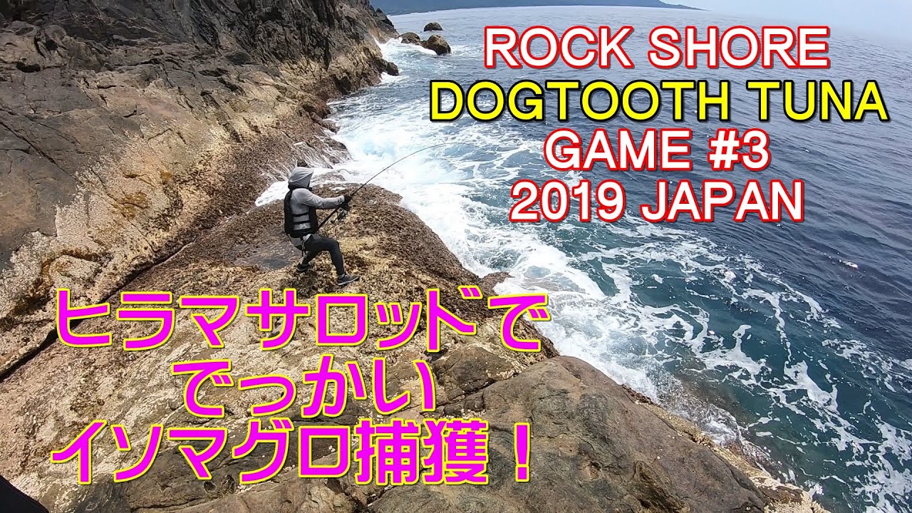 【ヒラマサロッド】1投目でパクッと 18kg！【獲れるのか？】#23