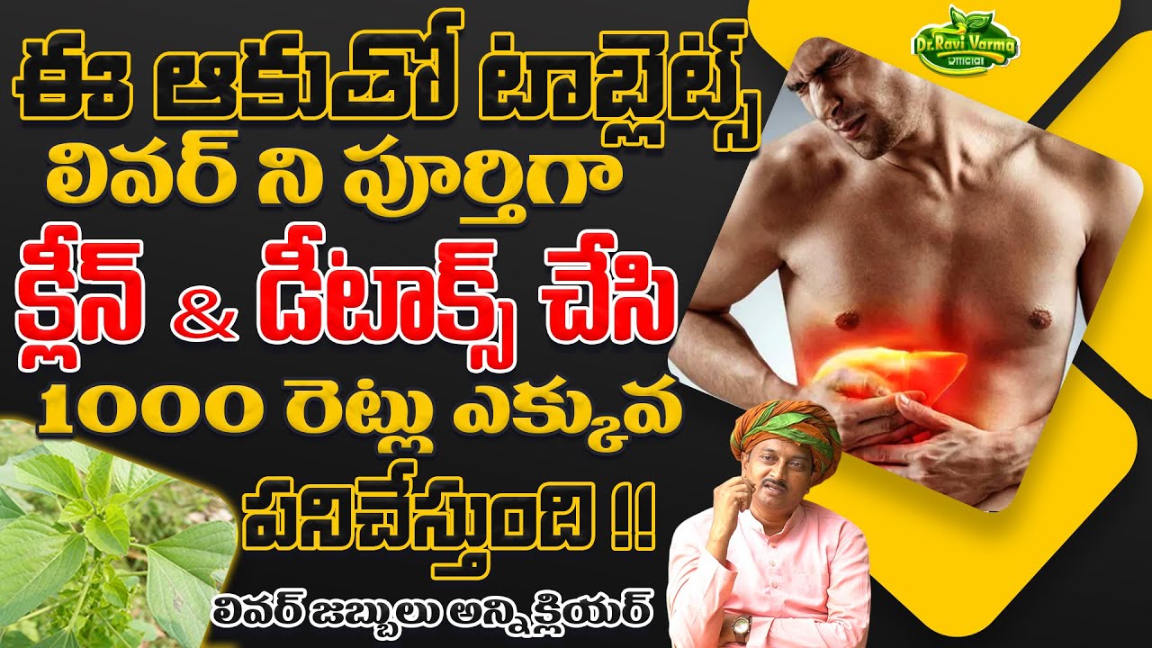 ఈ ఆకుతో టాబ్లెట్స్ లివర్ ని పూర్తిగా క్లీన్ & డీటాక్స్ | Liver Problems | Dr.Ravivarma Official