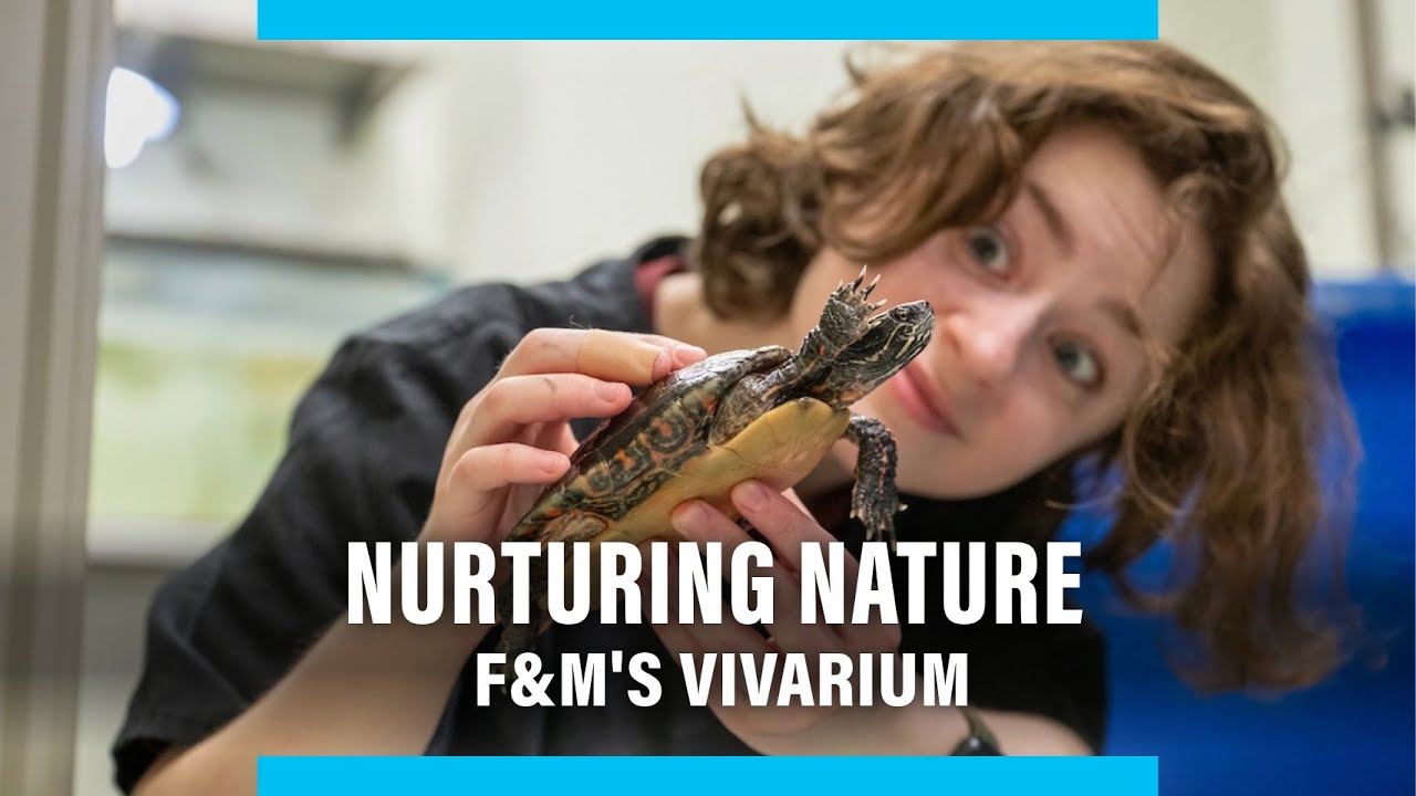 Nurturing Nature: The F&M Vivarium