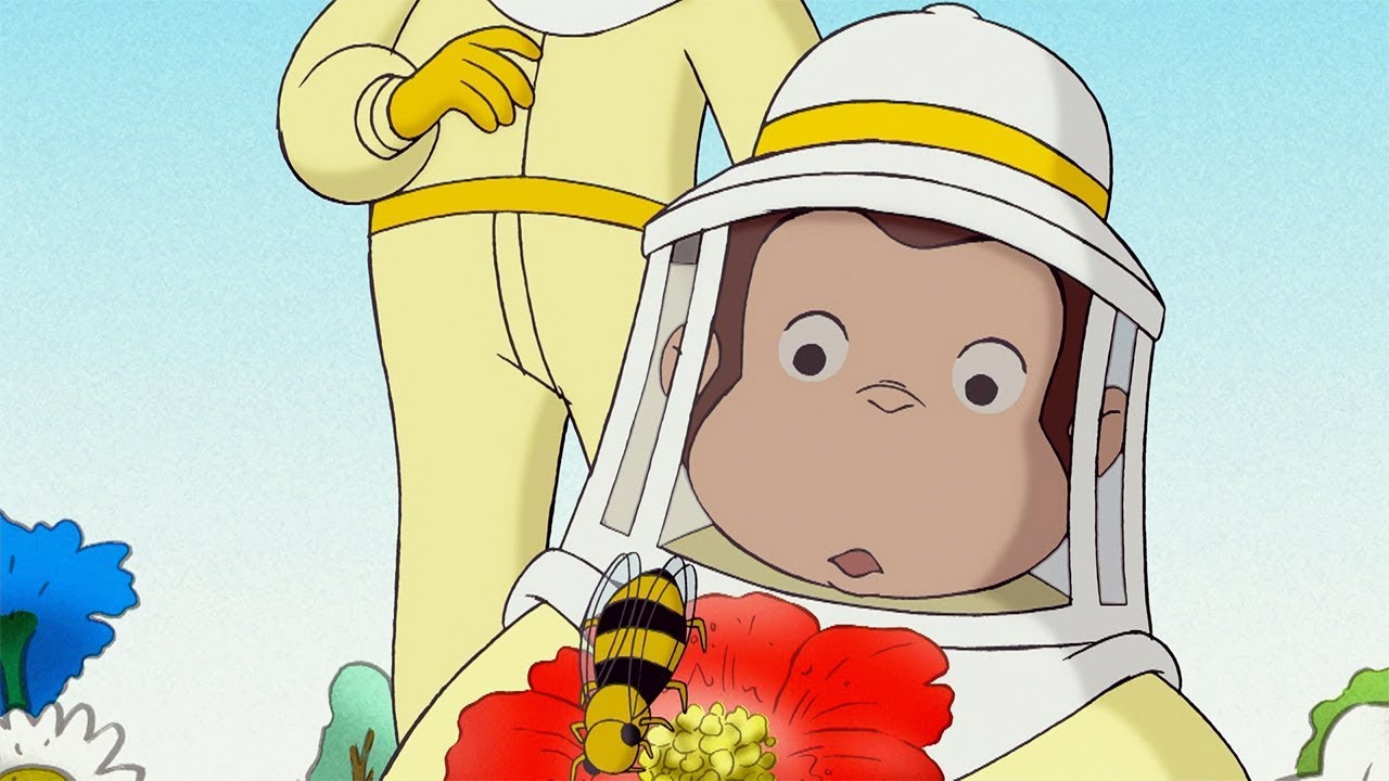 Curious George 🐵 1 Hour Compilation 🐵 English Full Episode 🐵 Videos For Kids