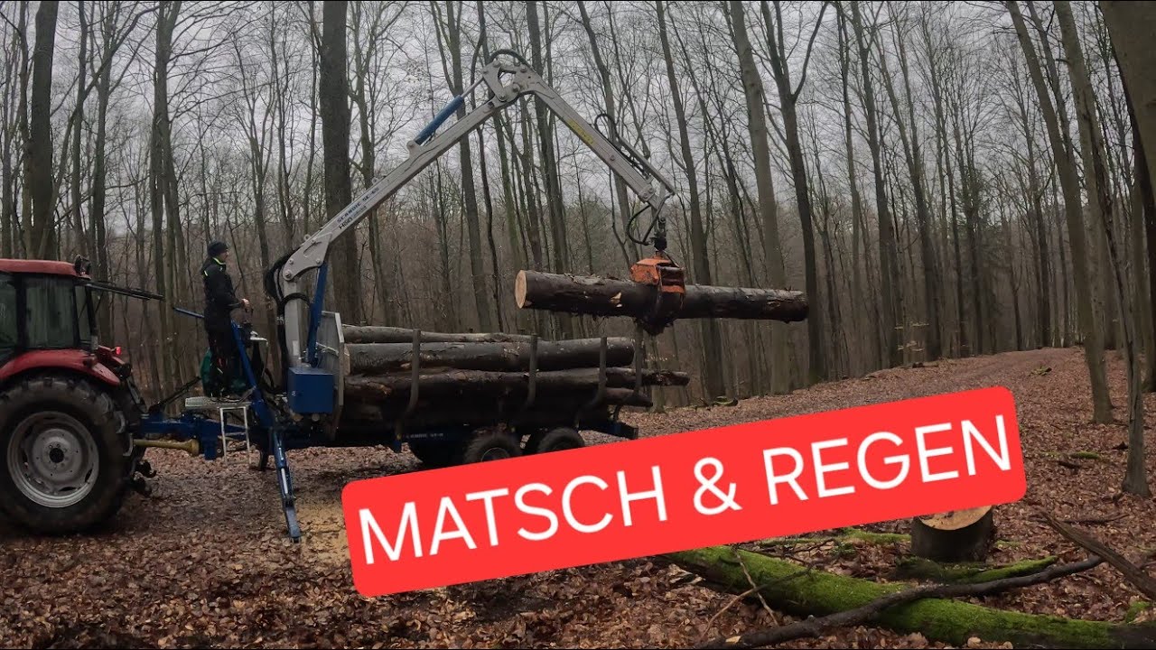 Stammholz fahren bei Regen & Matsch – so sieht die Realität aus