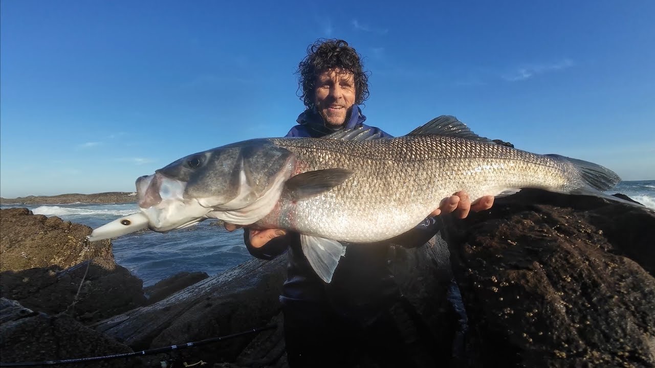 Topwater 14.5lb Bass On The Samson Fat Minnow! First Cast- Robalo Grande Surface Strike