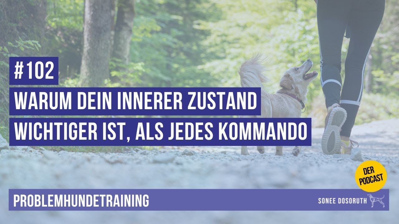 #102 Warum dein innerer Zustand wichtiger ist, als jedes Kommando