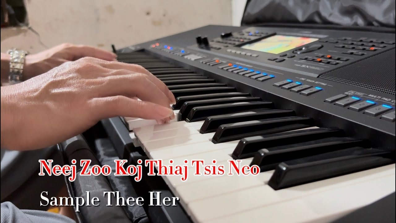 Tsis Sib Ntsib Ntev Nco Koj Ua Luaj Cover Feej Lis 2026