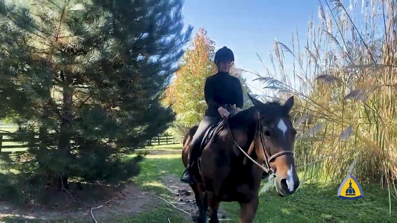 From Severe Back Pain to Living Life as She Always Wanted | Anne's Story