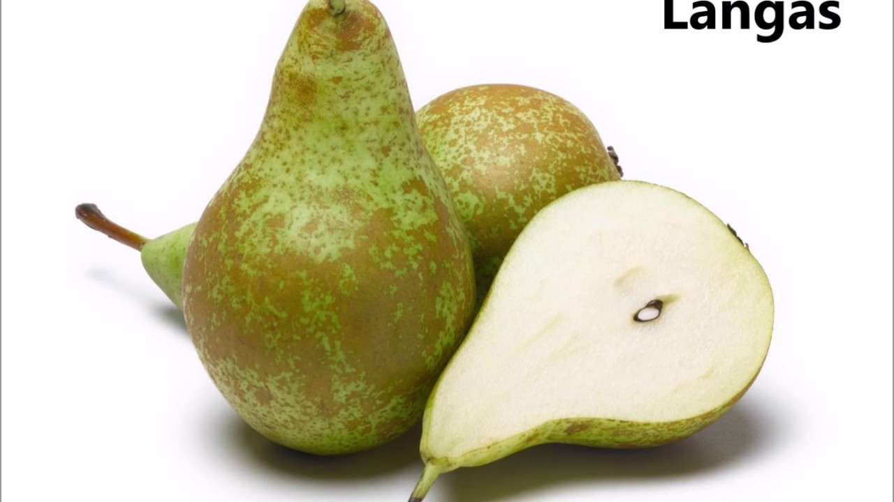 Maltese - Fruits